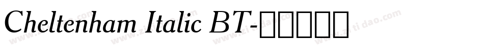 Cheltenham Italic BT字体转换